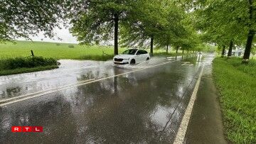 L'Allée de la jeunesse sacrifiée à Hesperange.