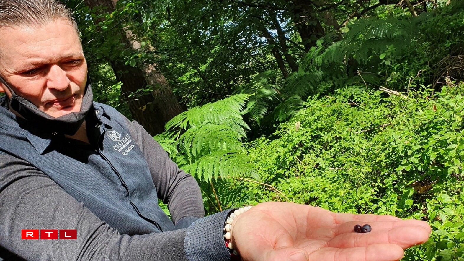 De délicieuses myrtilles...