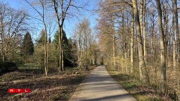 Lénks mat manner Beem, awer nach ëmmer mat Natur-Feeling: den Ufank vum Vëloswee um Sennergerbierg um fréien Donneschdegmoien (2. Abrëll).