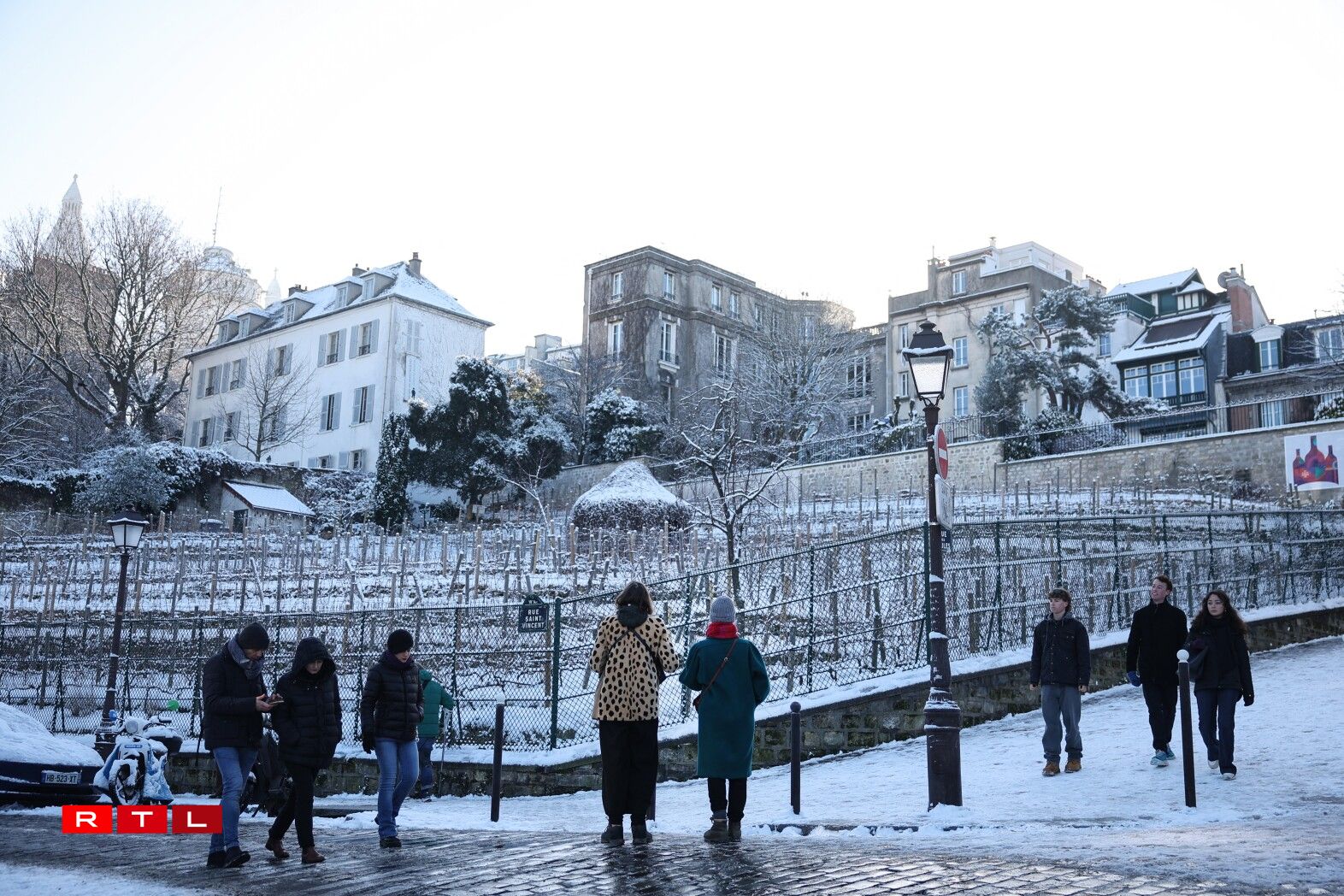 Les vignes de Montmartre sous la neige.