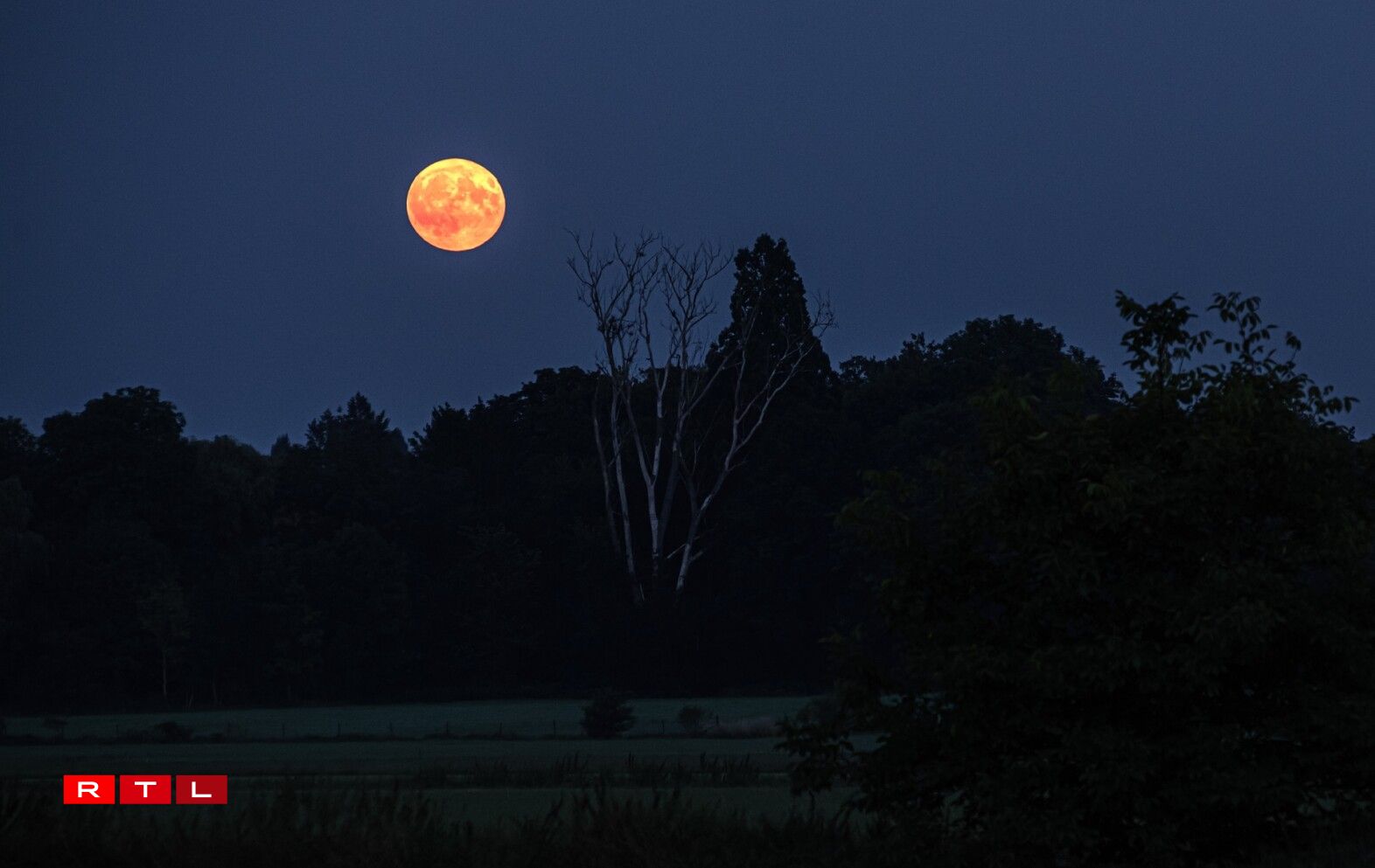 Iwwert dem Réiserbann
