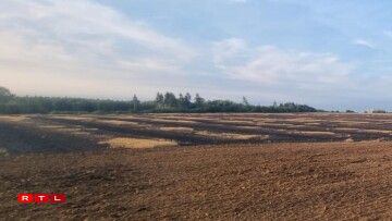 Près de 10 hectares de terres agricoles ont été carbonisées.