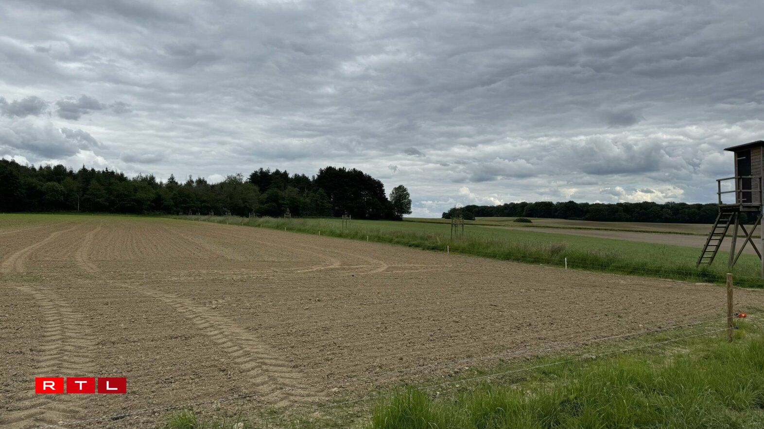 Sträife Wisen a Beem tëscht de verschiddene Parzelle bidden Déieren e geschützte Wee, hëllefen awer och Waasser méi déif aus dem Buedem ze zéien a loosse beim staarken Nidderschléi manner Reen duerch.