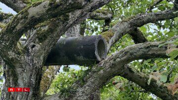 E sougenannt Naschtrouer fir de Steekauz.