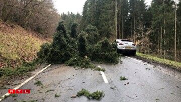 Um Hareler Poteau ass ee Bam ëmgefall.