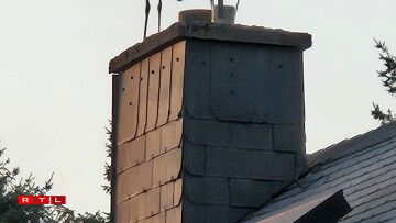 Cigognes à Grevels et Wal