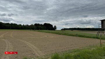 Sträife Wisen a Beem tëscht de verschiddene Parzelle bidden Déieren e geschützte Wee, hëllefen awer och Waasser méi déif aus dem Buedem ze zéien a loosse beim staarken Nidderschléi manner Reen duerch.