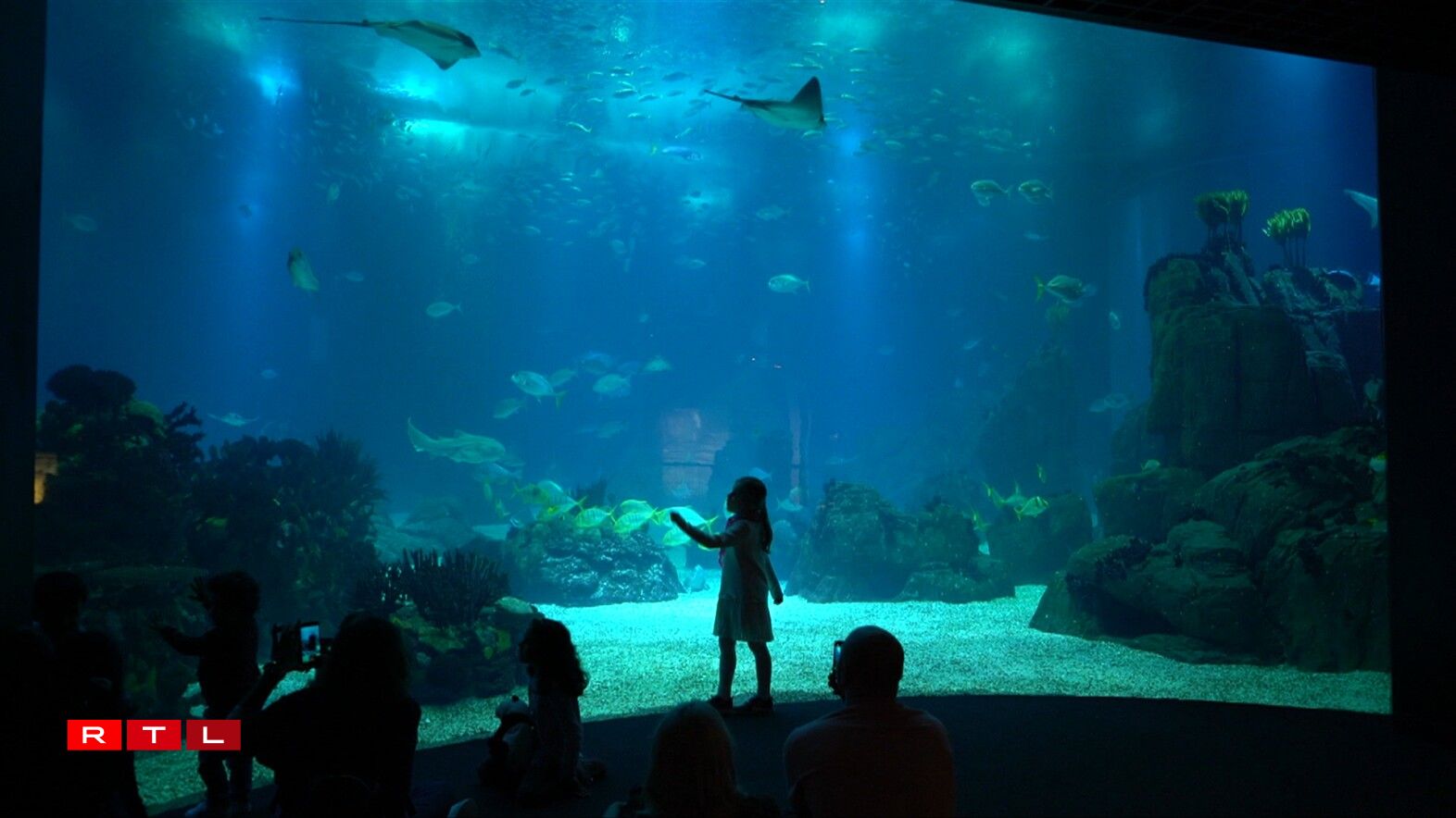 Oceanário de Lisboa