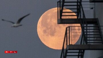 La Lune affichait également une belle teinte rosée à Lorient, dans l'ouest de la France.