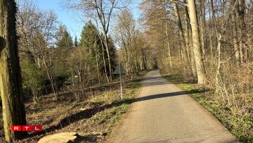 Lénks mat manner Beem, awer nach ëmmer mat Natur-Feeling: den Ufank vum Vëloswee um Sennergerbierg um fréien Donneschdegmoien (2. Abrëll).