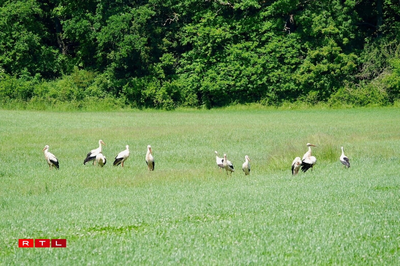 Foto vum 30. Mee 2025 - zu Uewerdonwen