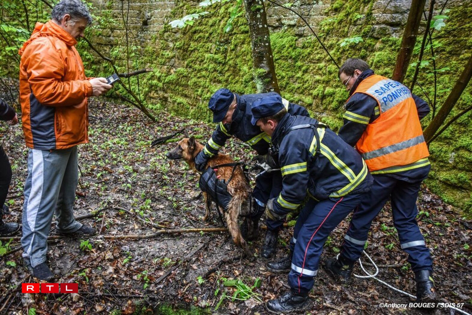 Plus de peur que de mal pour le meilleur ami de l'Homme, qui s'en tire sain et sauf.