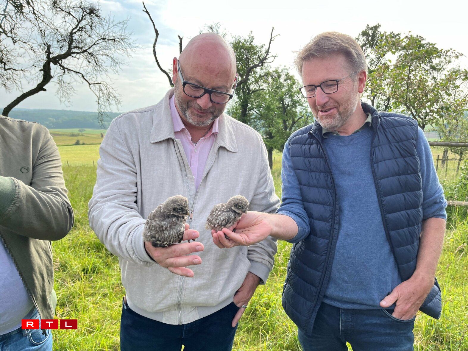 Déi neigebuere Steekäiz zu Schëtter.