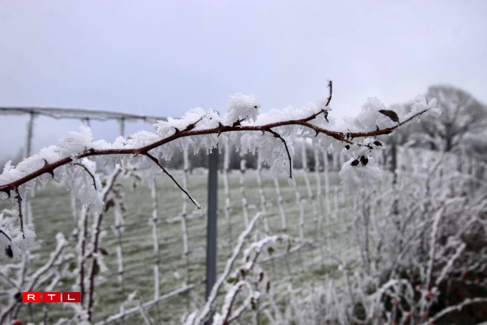 Une photo prise à Schumans Eck