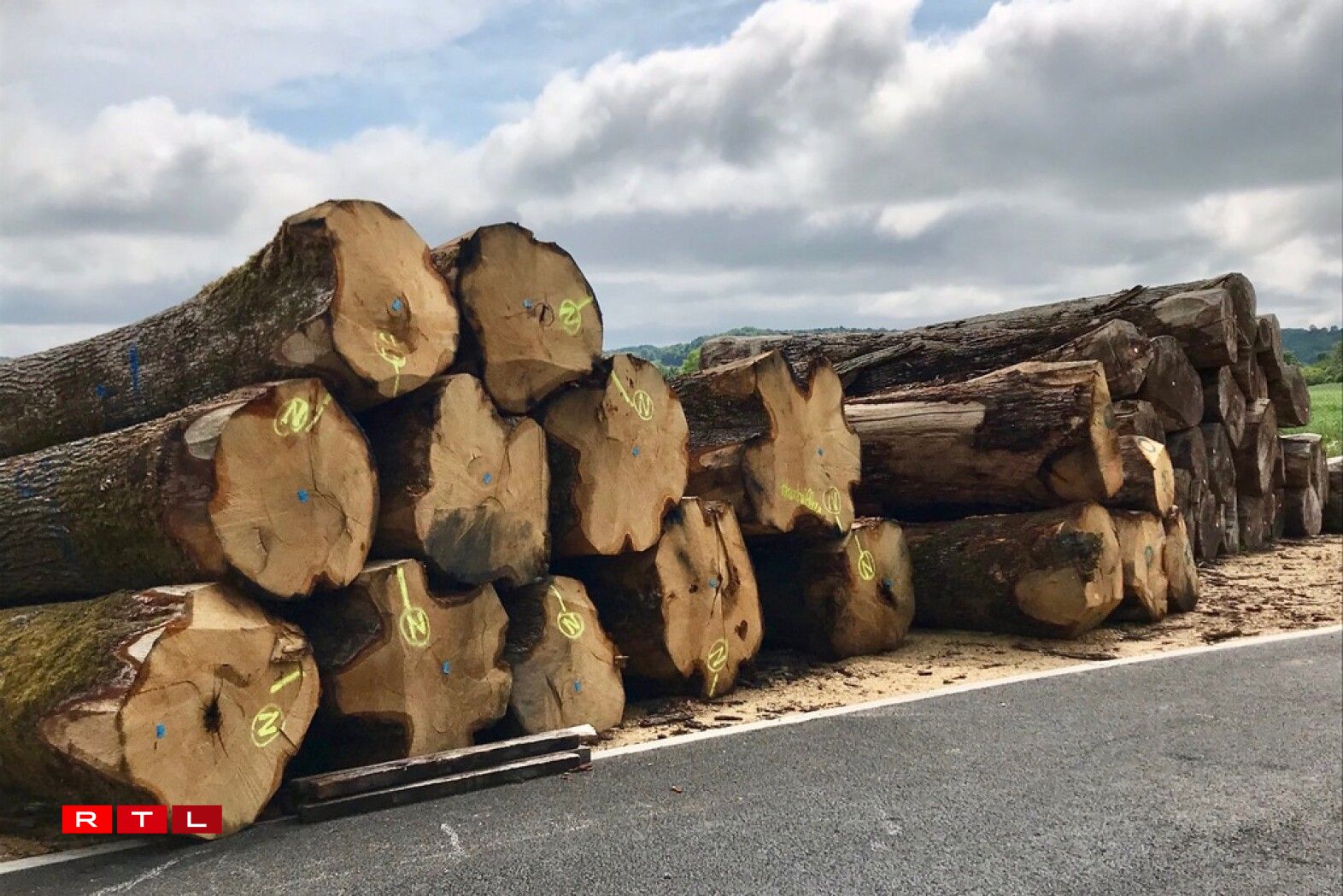 Les meilleures essences de chêne français sont sélectionnées.