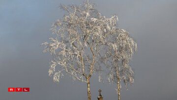 Photo prise près d'Eschdorf/Merscheid ce lundi 12 novembre.