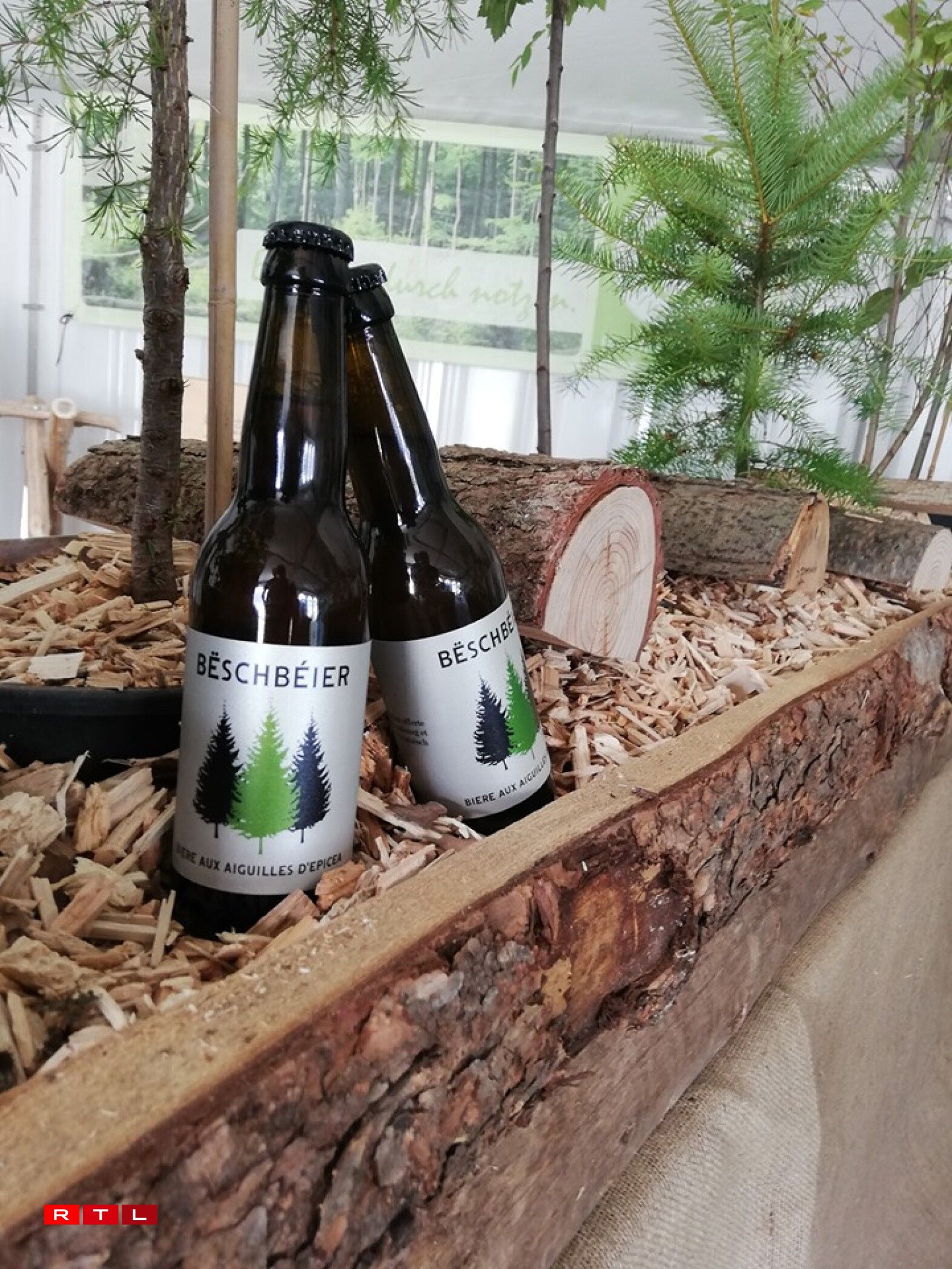 © Lëtzebuerger Privatbësch