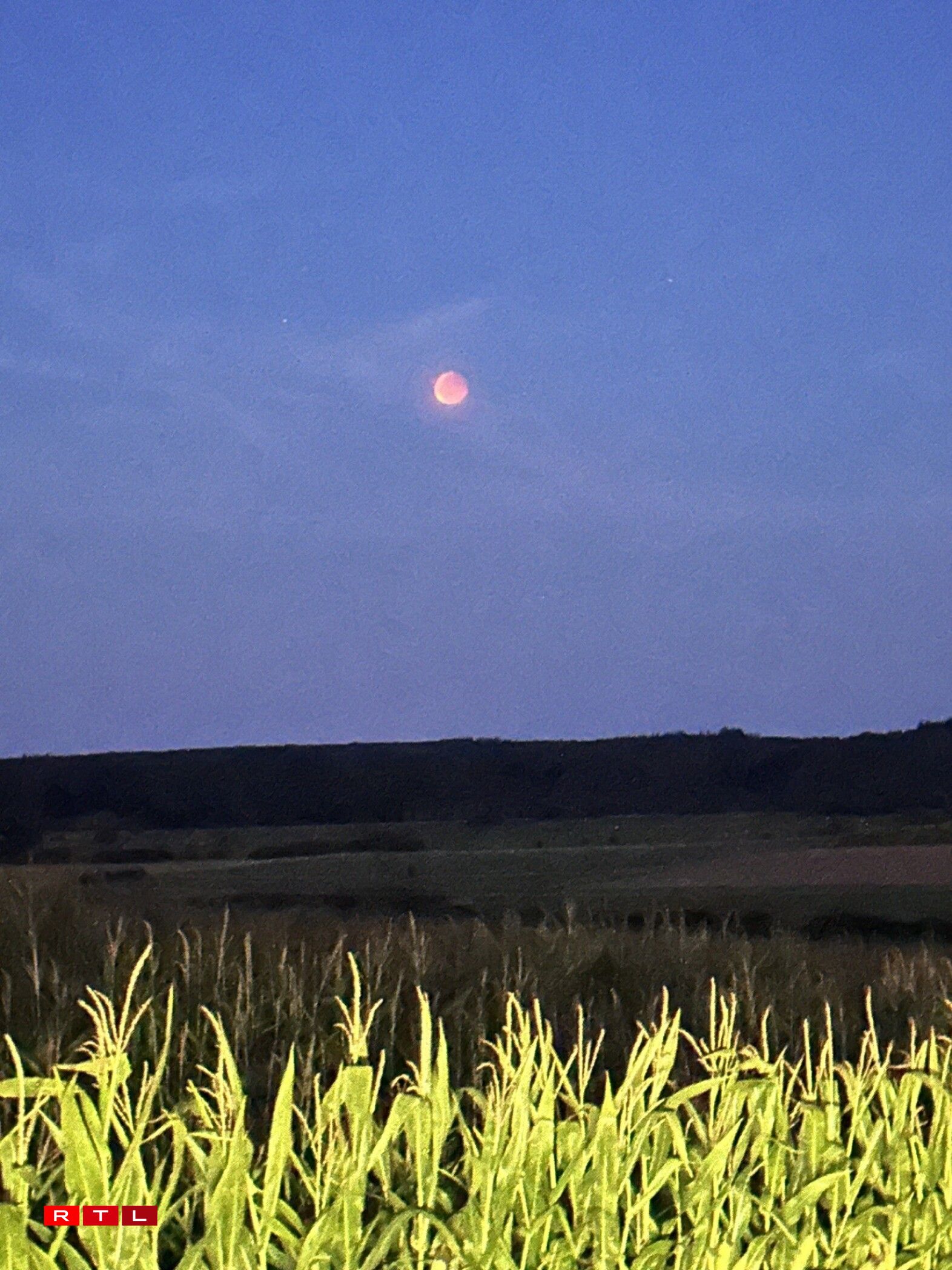 Zu Hiefenech mam iPhone/Veerle Peeters