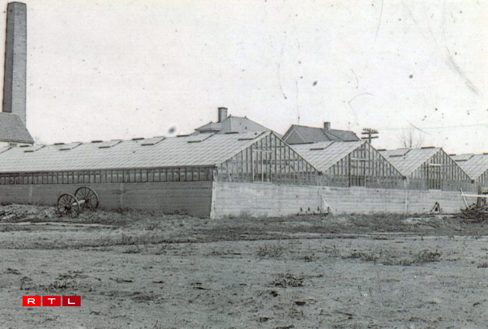 Greenhouse of Nicholas Schmit - 7116 N. Western Avenue, Chicago, Illinois. Nicholas was born in Bourglinster, Luxembourg.