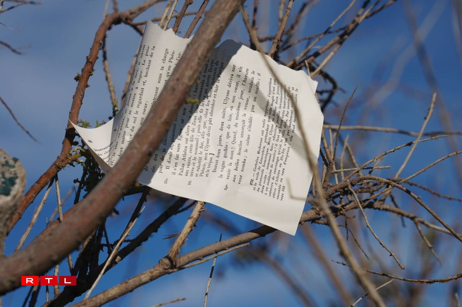 Left to their own fate