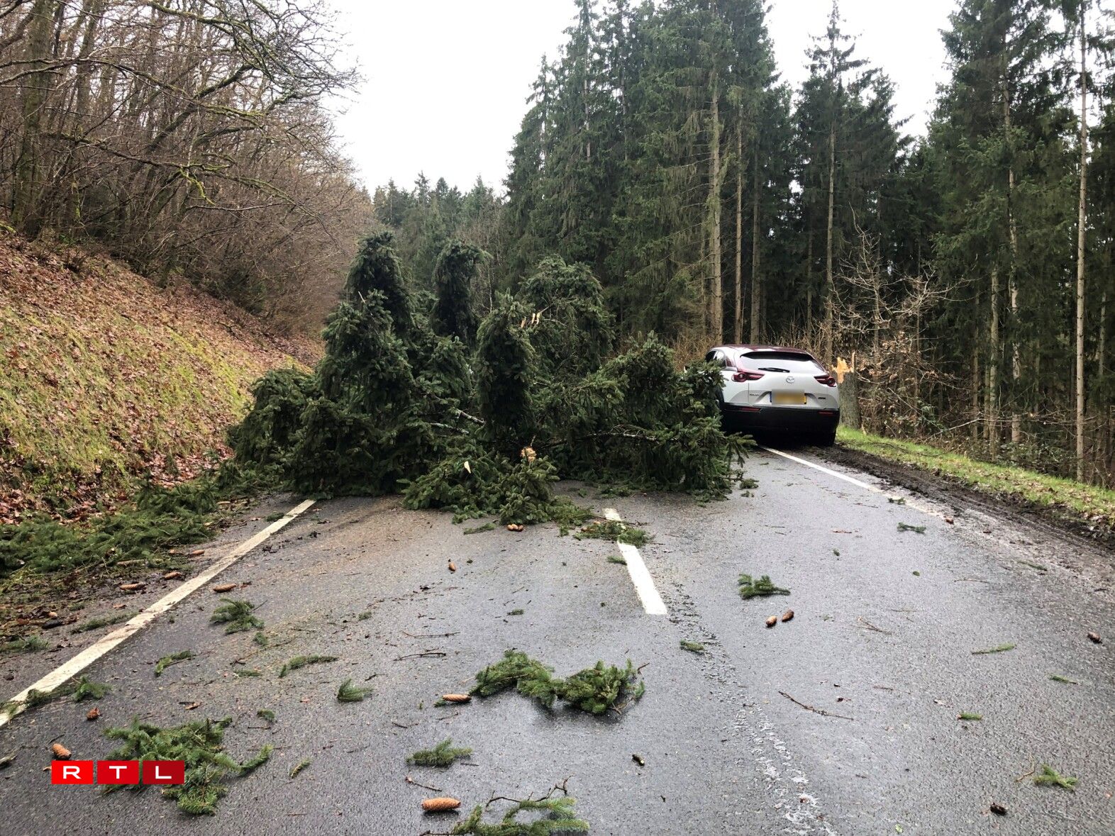 Um Hareler Poteau ass ee Bam ëmgefall.
