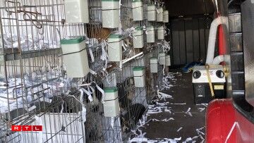 D'Käfeger am Transporter.