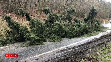 Um Hareler Poteau ass ee Bam ëmgefall.