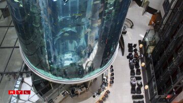 L'aquarium était l'attraction phare de l'hôtel.