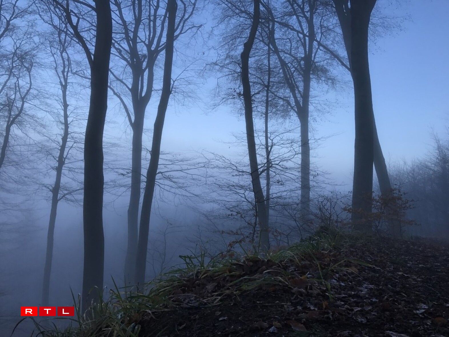 Beware when you wander Steinsel's sombre forests at nighttime...