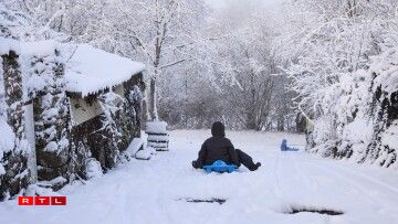 Dans la campagne de Montaigu en Vendée, au sud de Nantes.