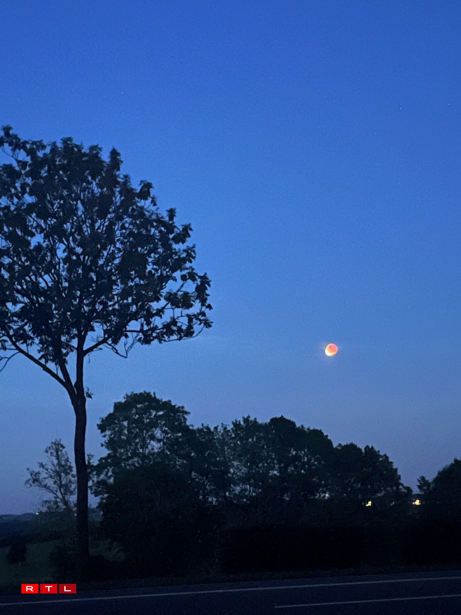 Zu Wäiswampech/Gabi Schmitz
