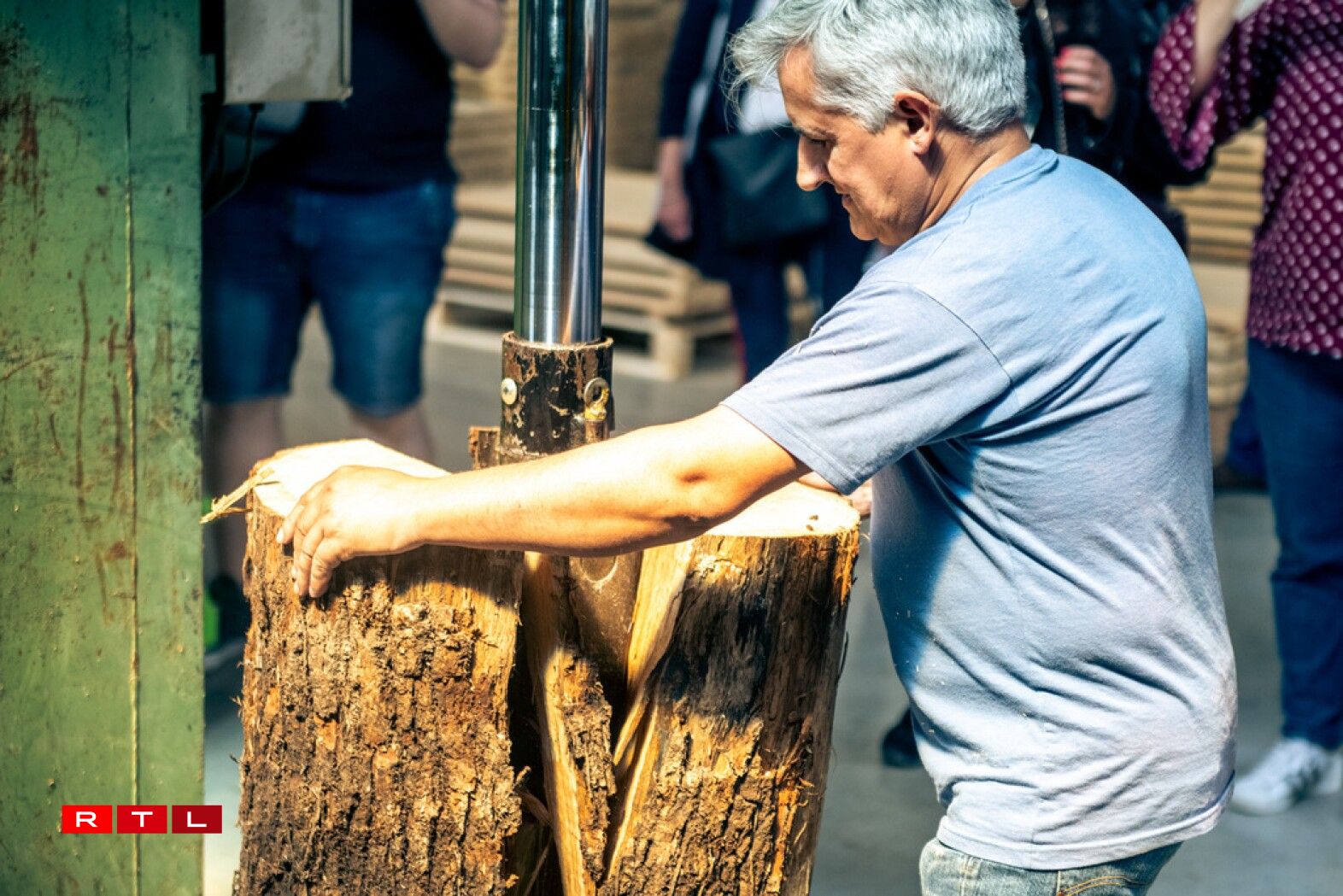 Les troncs sont fendus pour respecter les fibres du bois.