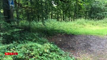 Le lieu où les corps ont été retrouvés entre Bollendorf et Wallendorf