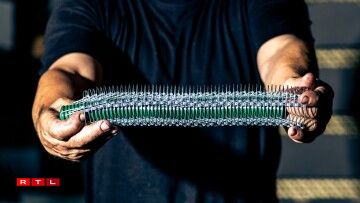 Les muselets terminés sont rangés pour faciliter l'emploi sur la bouteille.