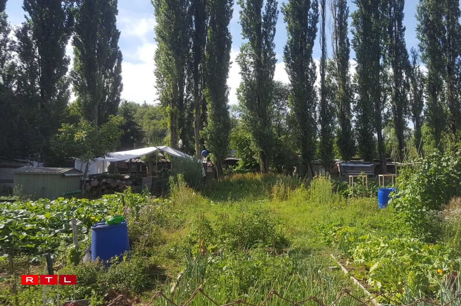 Ces jardins devraient être rasés d'ici la fin de l'année, et l'élevage y être interdit.