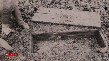 Guns found hidden in the forest.