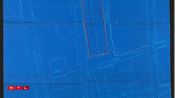 Plan for a museum and library.