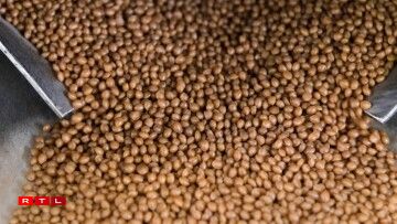 Des granulats de plastique.