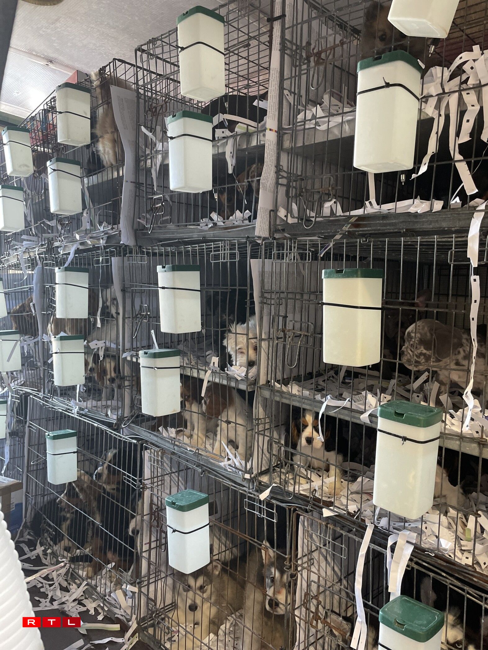 D'Muppen an de Käfeger am Transporter.