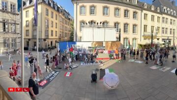 A pro-Palestine protest was staged outside the Chamber of Deputies on Wednesday morning