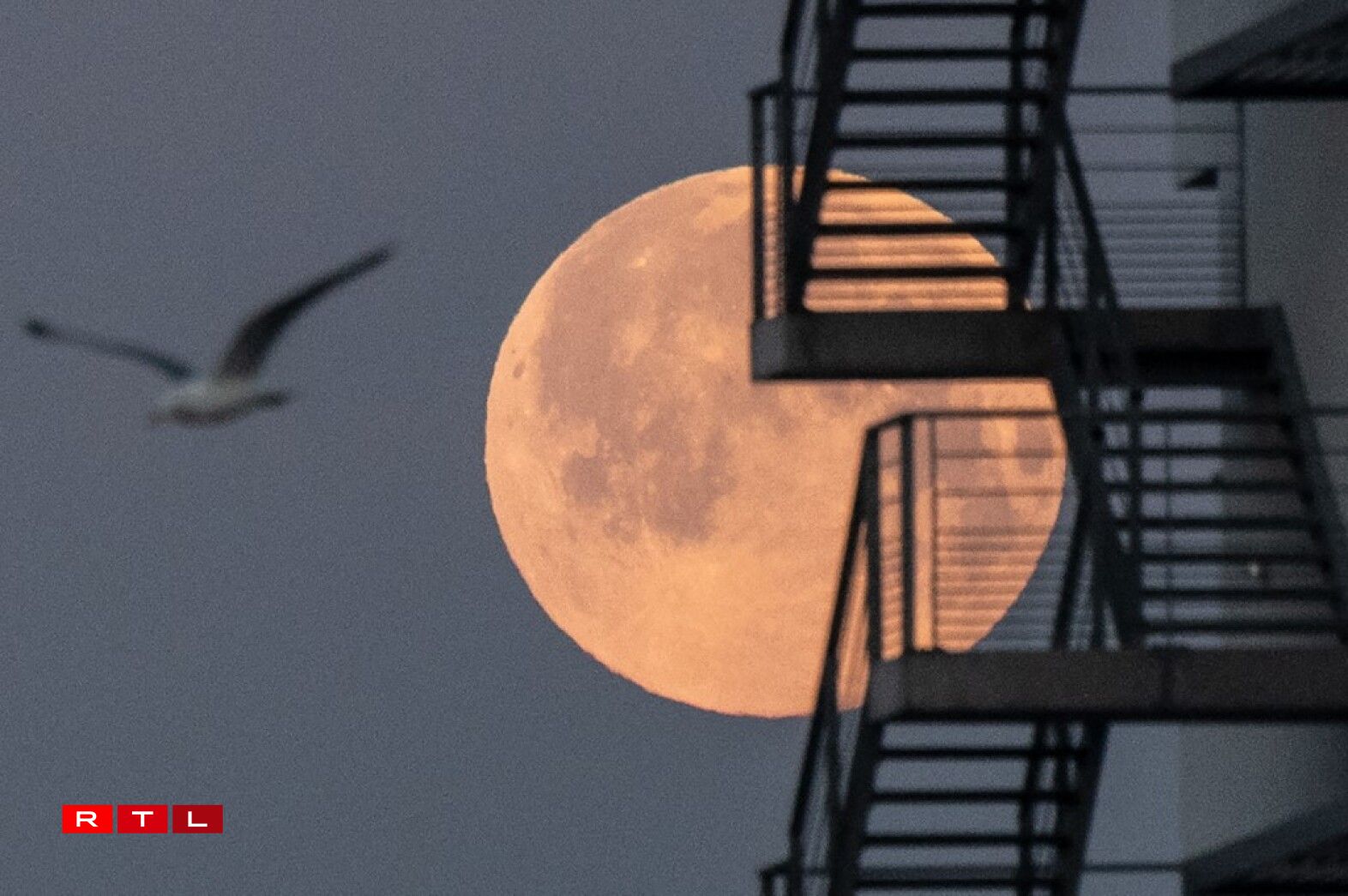 La Lune affichait également une belle teinte rosée à Lorient, dans l'ouest de la France.