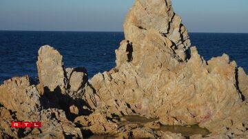 Left to their own fate