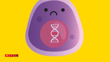 A healthy cell with intact DNA (1) can, after a DNA mutation, become a potentially dangerous mutant (2) or a cancer cell (3) both of which have defective DNA.