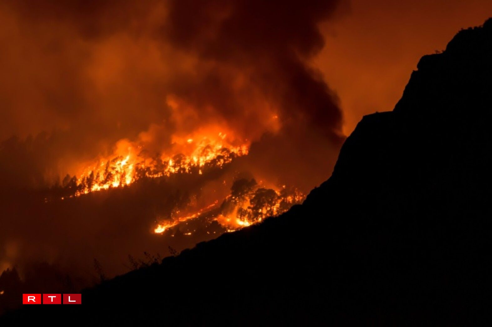 Un feu de forêt près du village de Sobradillo, sur l'île espagnole de Tenerife, le 16 août 2023