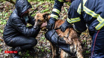 Jazz a pu retrouver ses propriétaires.