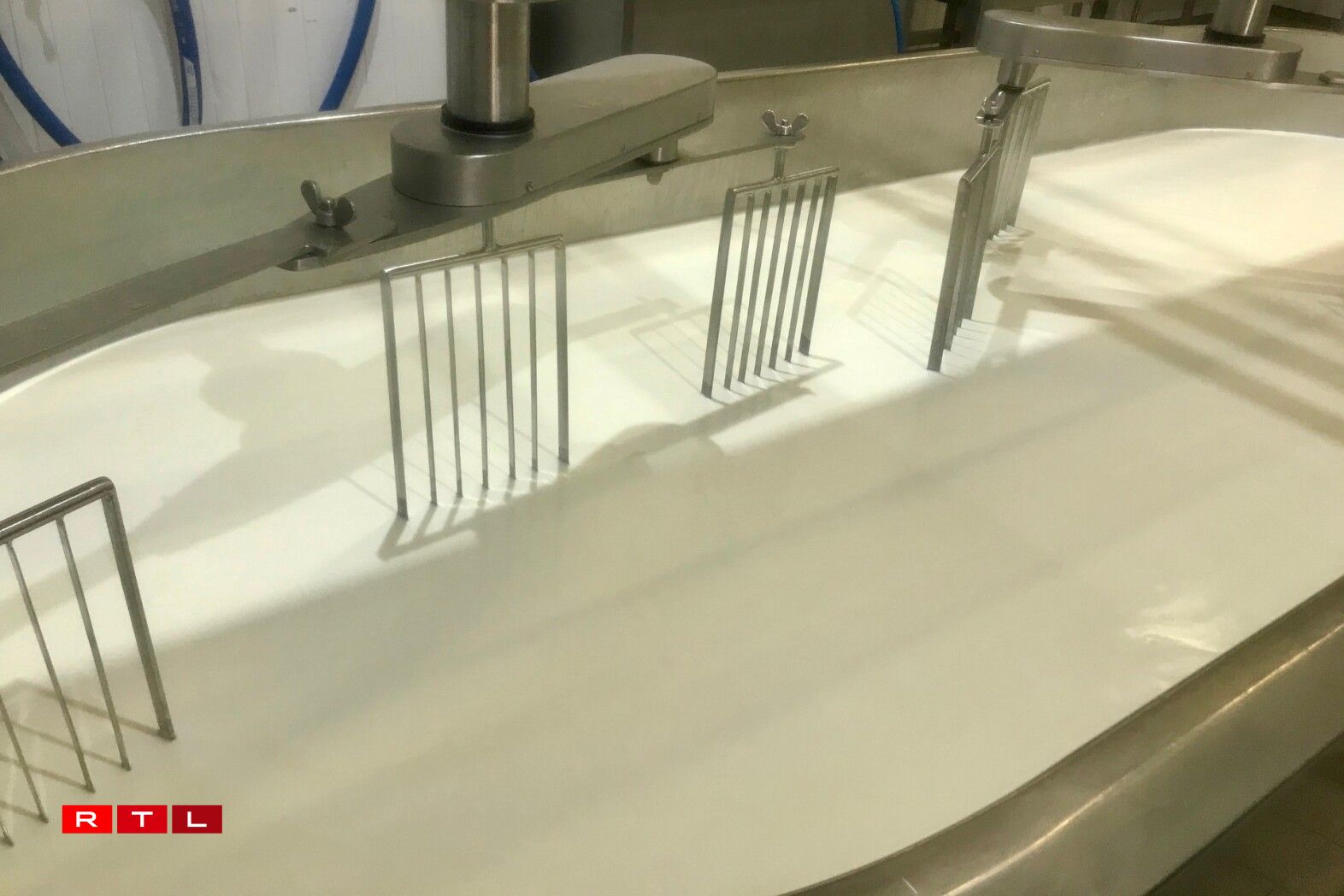 Le lait pasteurisé est mis dans une grande cuve avec de la présure.