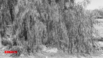 Sans Titre, série Providencia