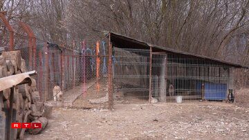 Den Asyl zu Dej muss frësch gemaach ginn. D'Suen an de Plang fir en neit Asyl sinn do an d'Versprieche vum Buergermeeschter och.