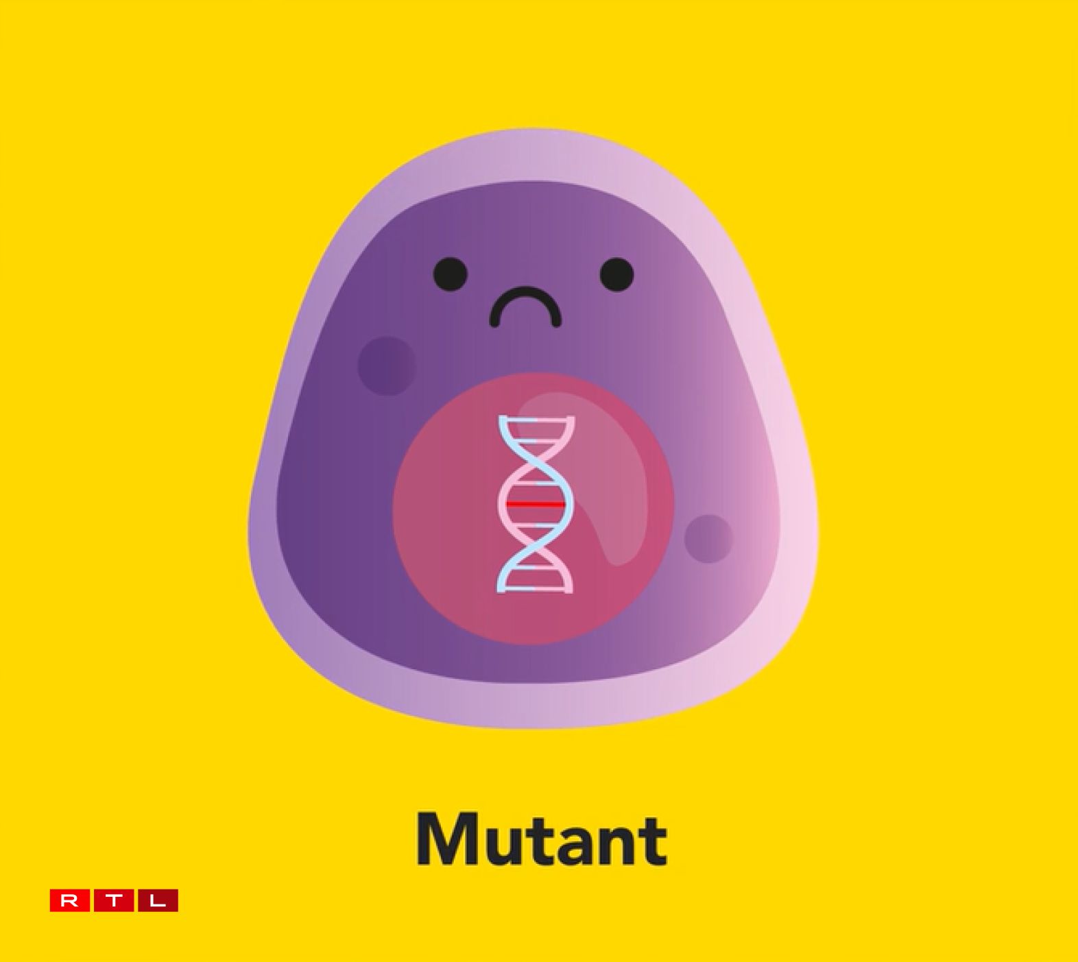 A healthy cell with intact DNA (1) can, after a DNA mutation, become a potentially dangerous mutant (2) or a cancer cell (3) both of which have defective DNA.
