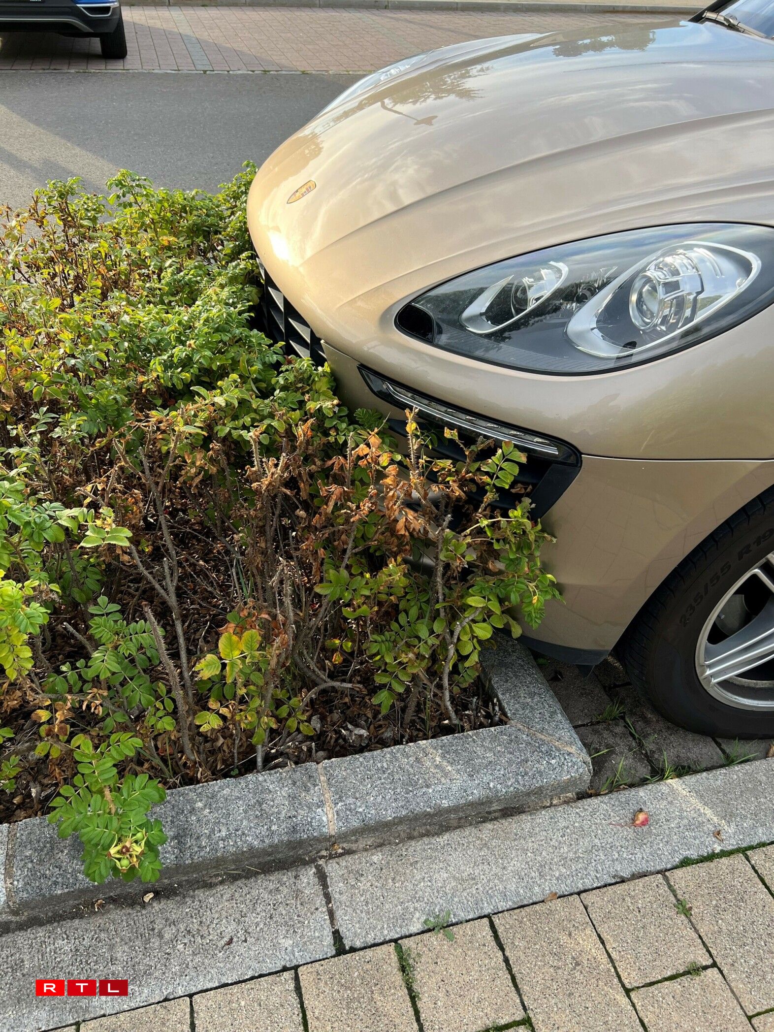 Une photo qui nous a été envoyée le 8 septembre 2022, nous n'avons pas d'information quant à l'endroit où elle a été prise